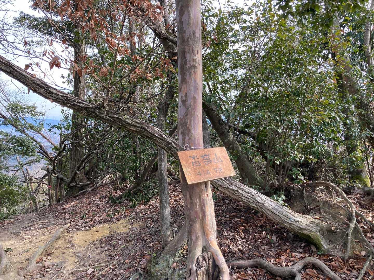 馬堀駅-みすぎ山-唐櫃越-沓掛山-沓掛山登山口-上桂駅 縦走コースの写真