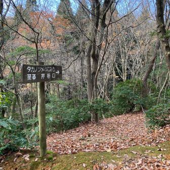 タカノツメの小径へ