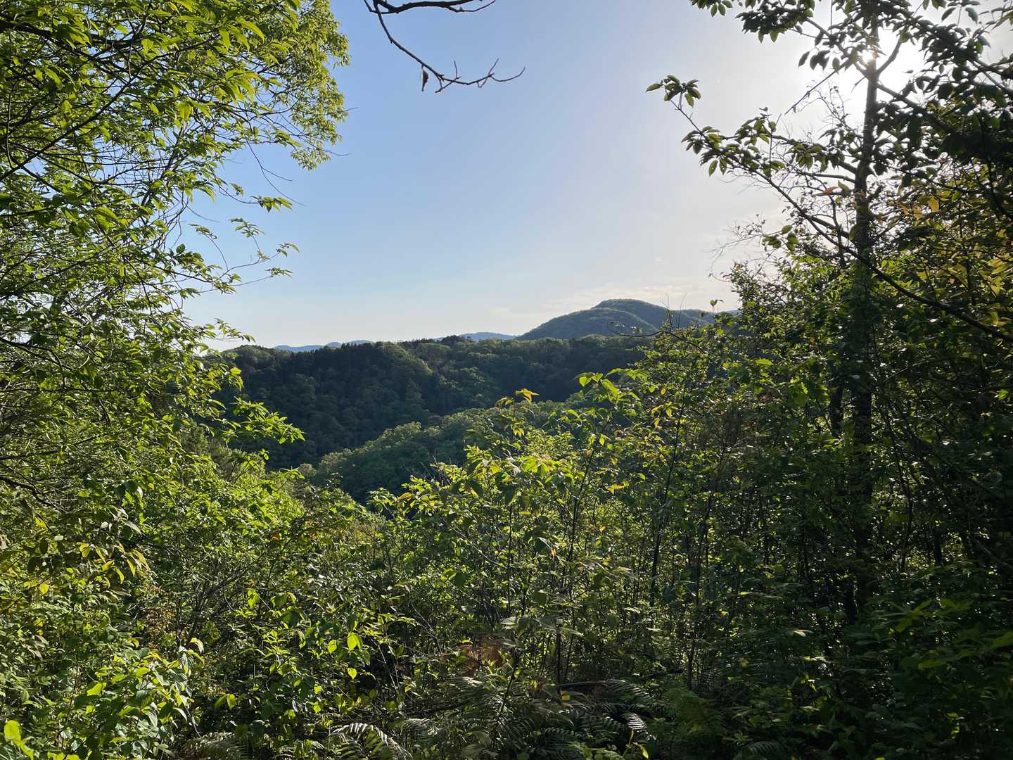 遣水観音山-遣水山観音堂 周回コースの写真