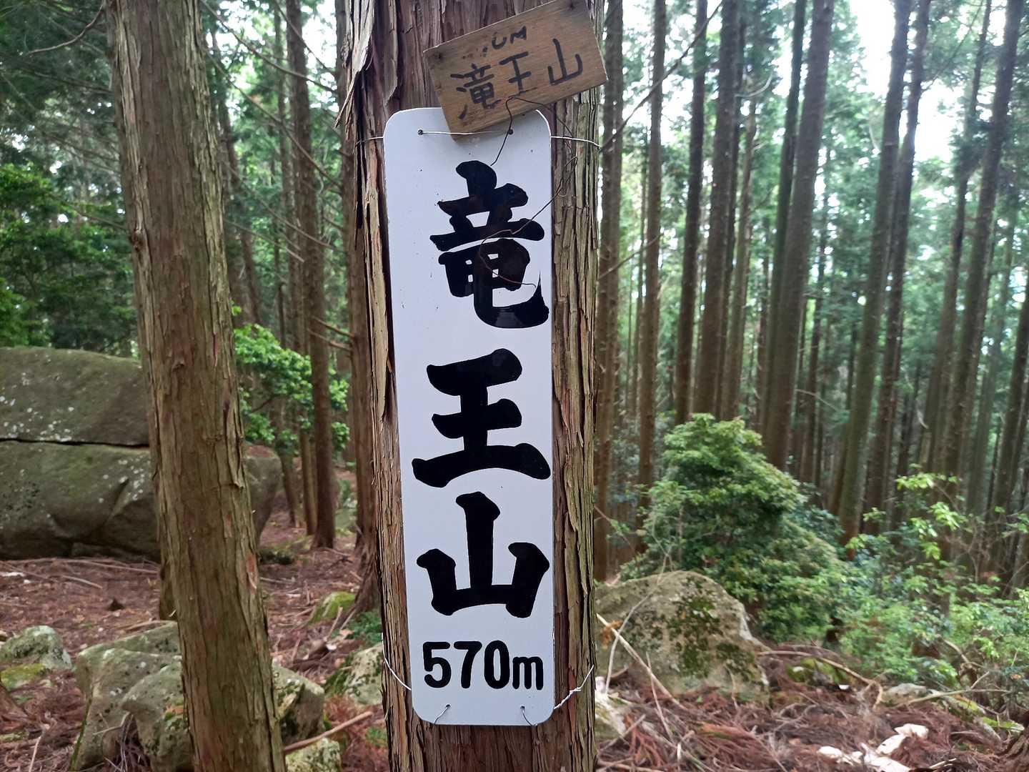 『滝王山』(竜王山)山頂 570m
展望はありません。巨石だらけ