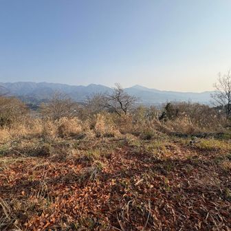 頭高山からの丹沢