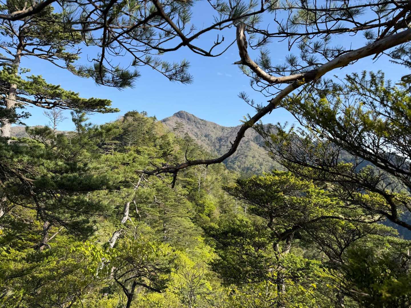 杉ヶ越登山口-傾山 往復コースの写真