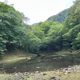 大笹池はひっそりとしていいなぁ
霧雨が降ってきました