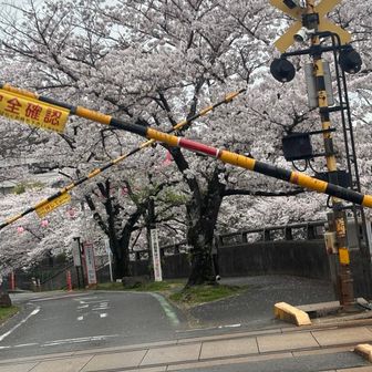 べ ル