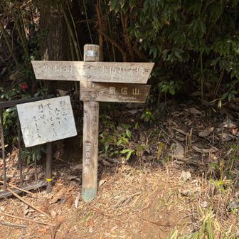 ここで、「景信山」方面に行かれる方が多かったです。
私は、「小仏峠」方面へ歩を進めました。