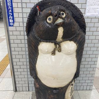 モリK