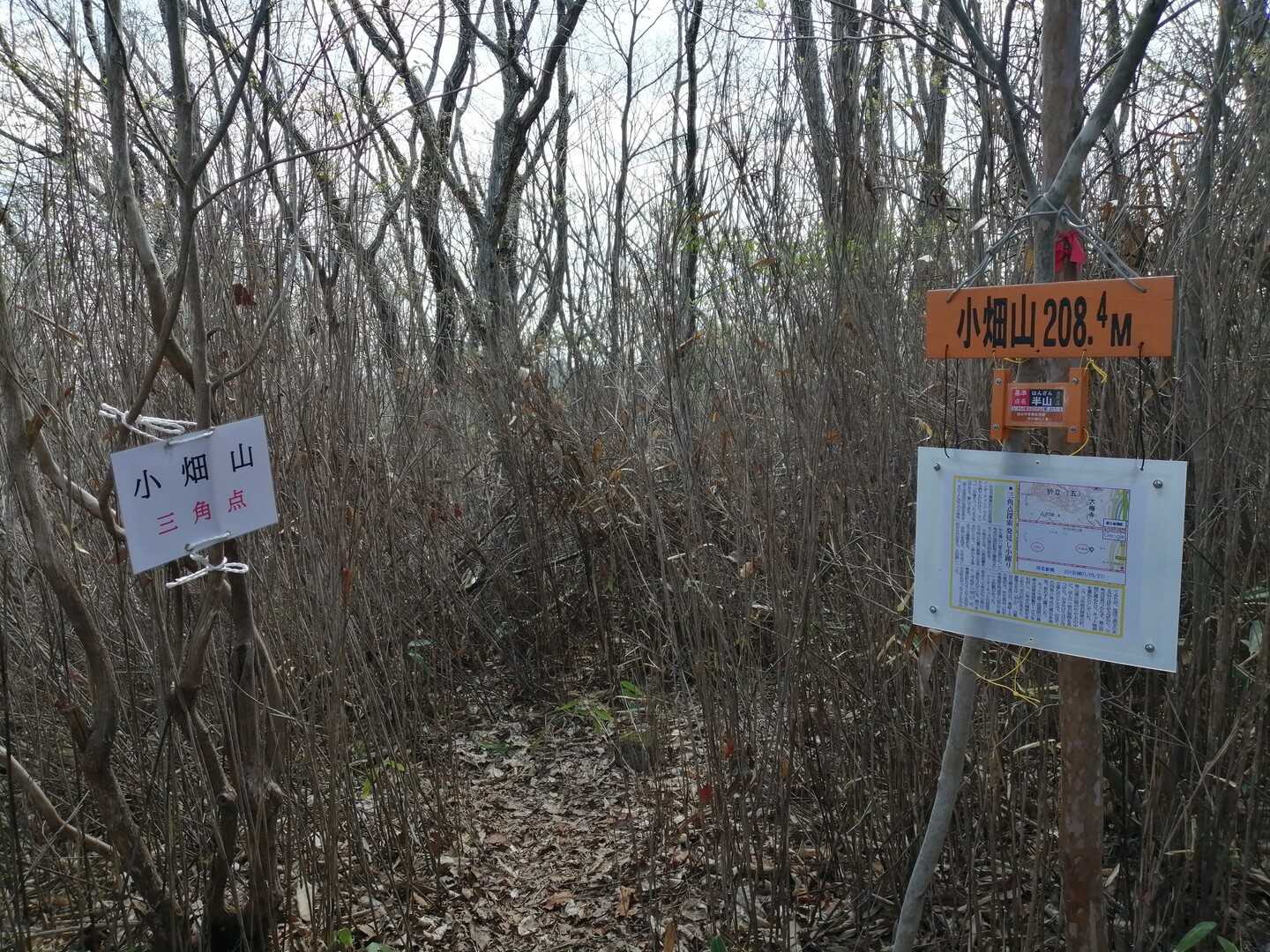 小畑山の写真