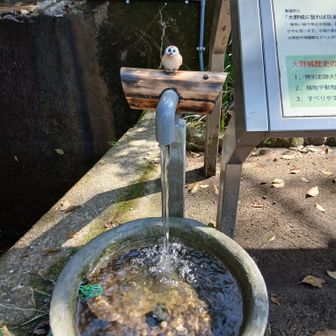 今日もいつものトレーニング会場😁✌️
🚙そしていつもの駐車場からスタートします🏃‍♀️✨️
🦉水場🚰🆗️‼️👍です😊