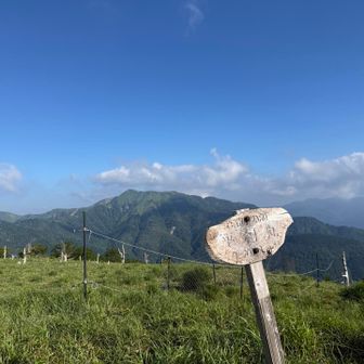 平和丸🕊️