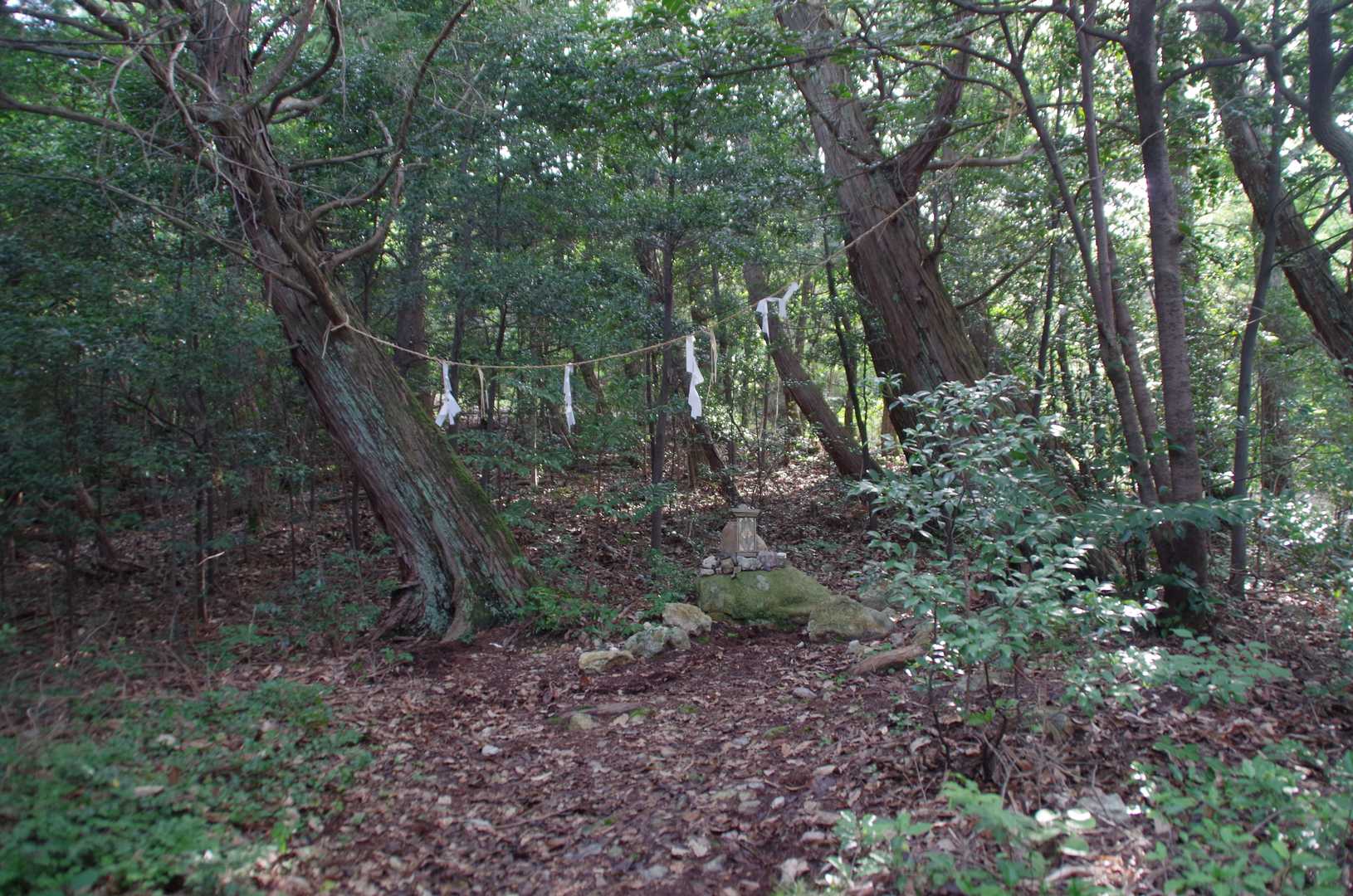 一の注縄
