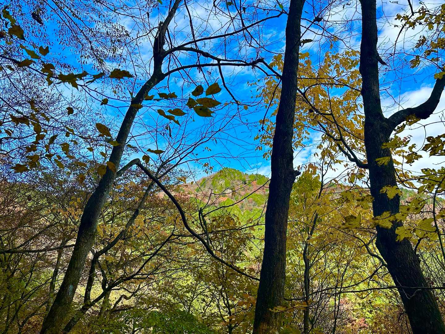 大岳山⛰️頂上見えた😊