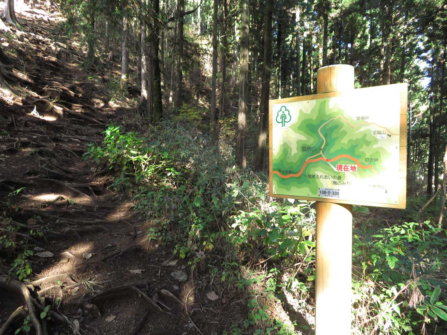 「堂所山」から激坂を下り、縦走路に合流して「景信山」目指して進んでいく。