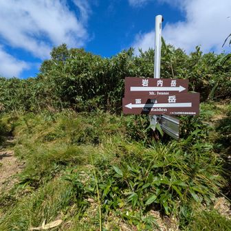 分岐…ようやく来た〜😮‍💨