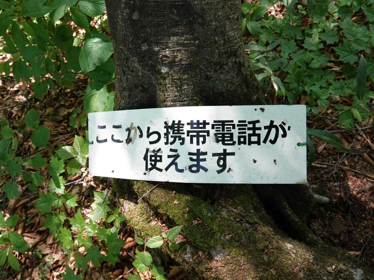 電波入りました👌（私はDOCOMO回線）