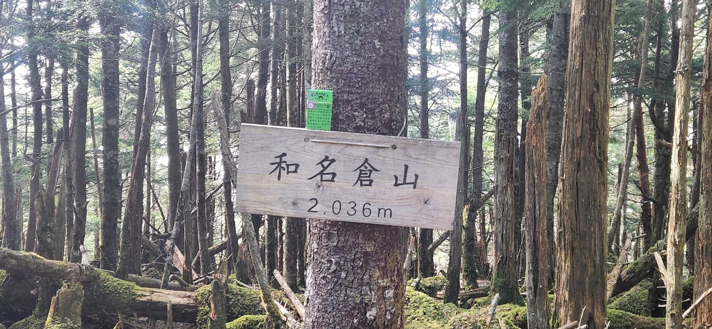 和名倉山登頂