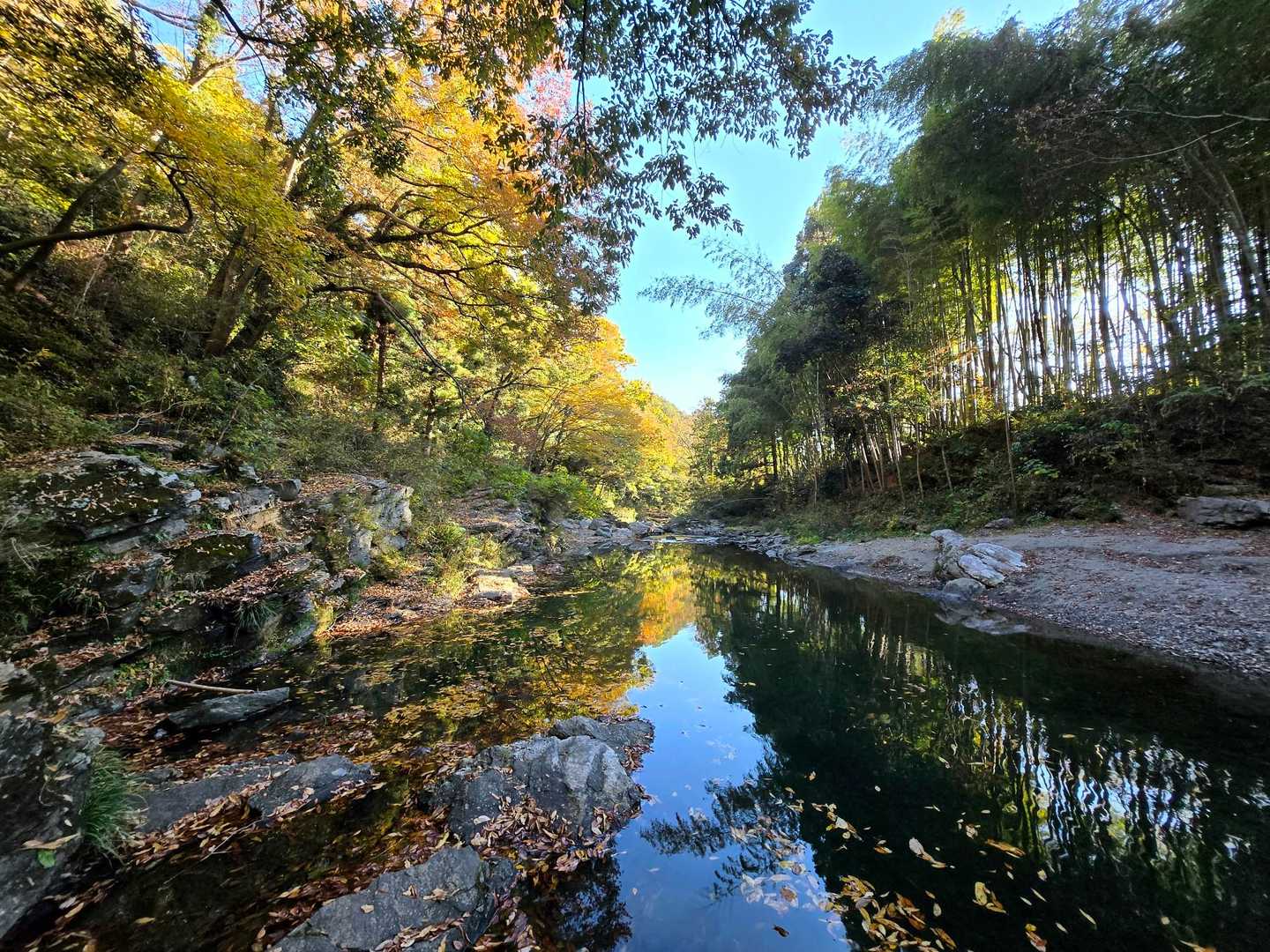 与謝野晶子「比企の渓」歌碑-大平山-大平山登山口 周回コースの写真
