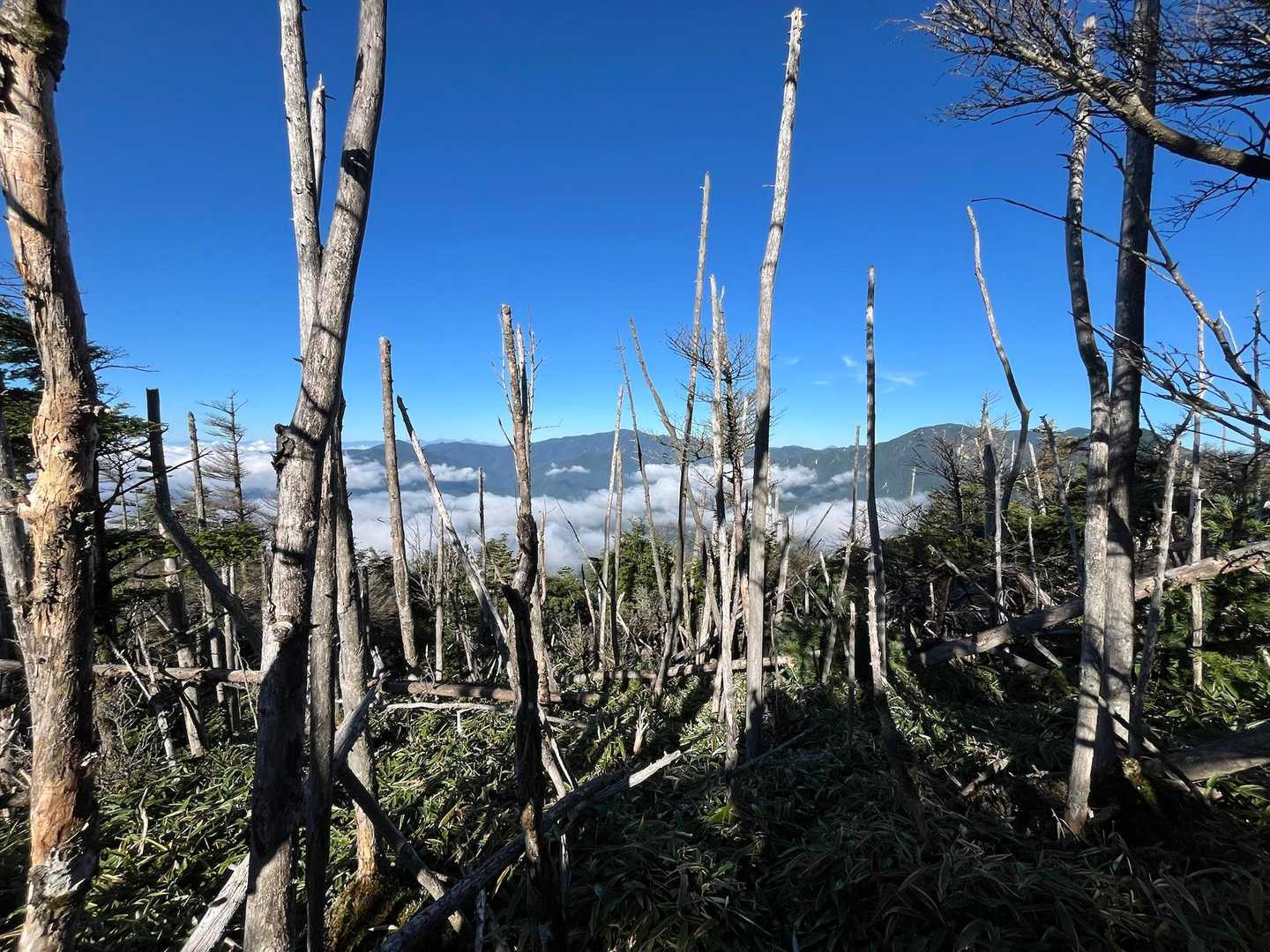 なんなんだろう❗️この山域