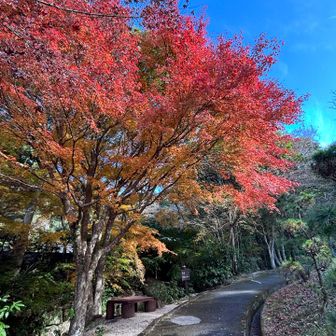 これが一番綺麗かも笑