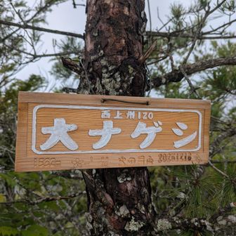 ③大ナゲシ(1,532m)
※最新の山頂板。