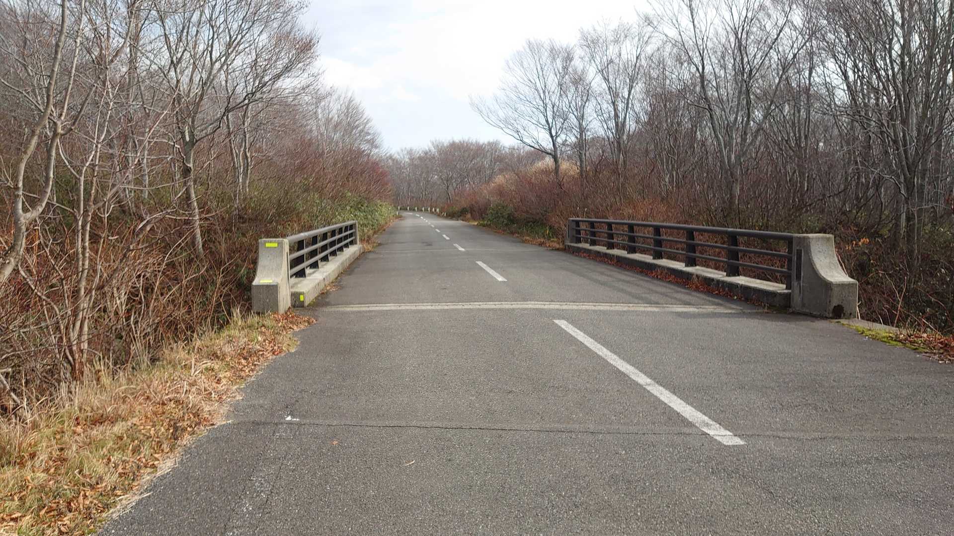見えてきた荒木沢の橋を越えた右手に