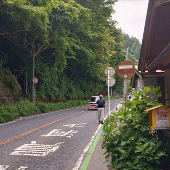 平のバス停。右手に僅かにスペースあって数台車止まってました。
