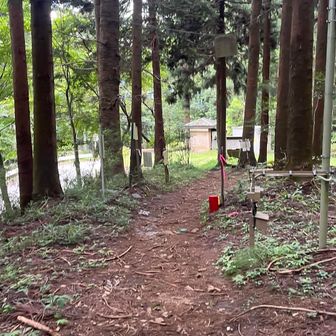 登山口まで降りてきました
下りも整備されてるので歩きやすかった

このすぐそばに大月カントリークラブがあるんだよね。山火事の時はヒヤヒヤしたろうな。