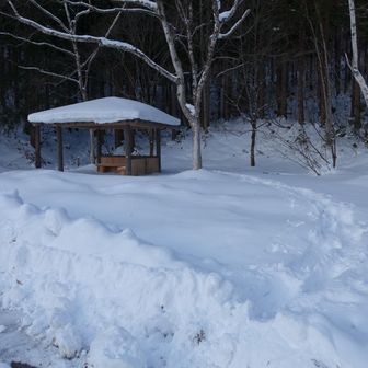 まずは東屋の後ろに回り込む