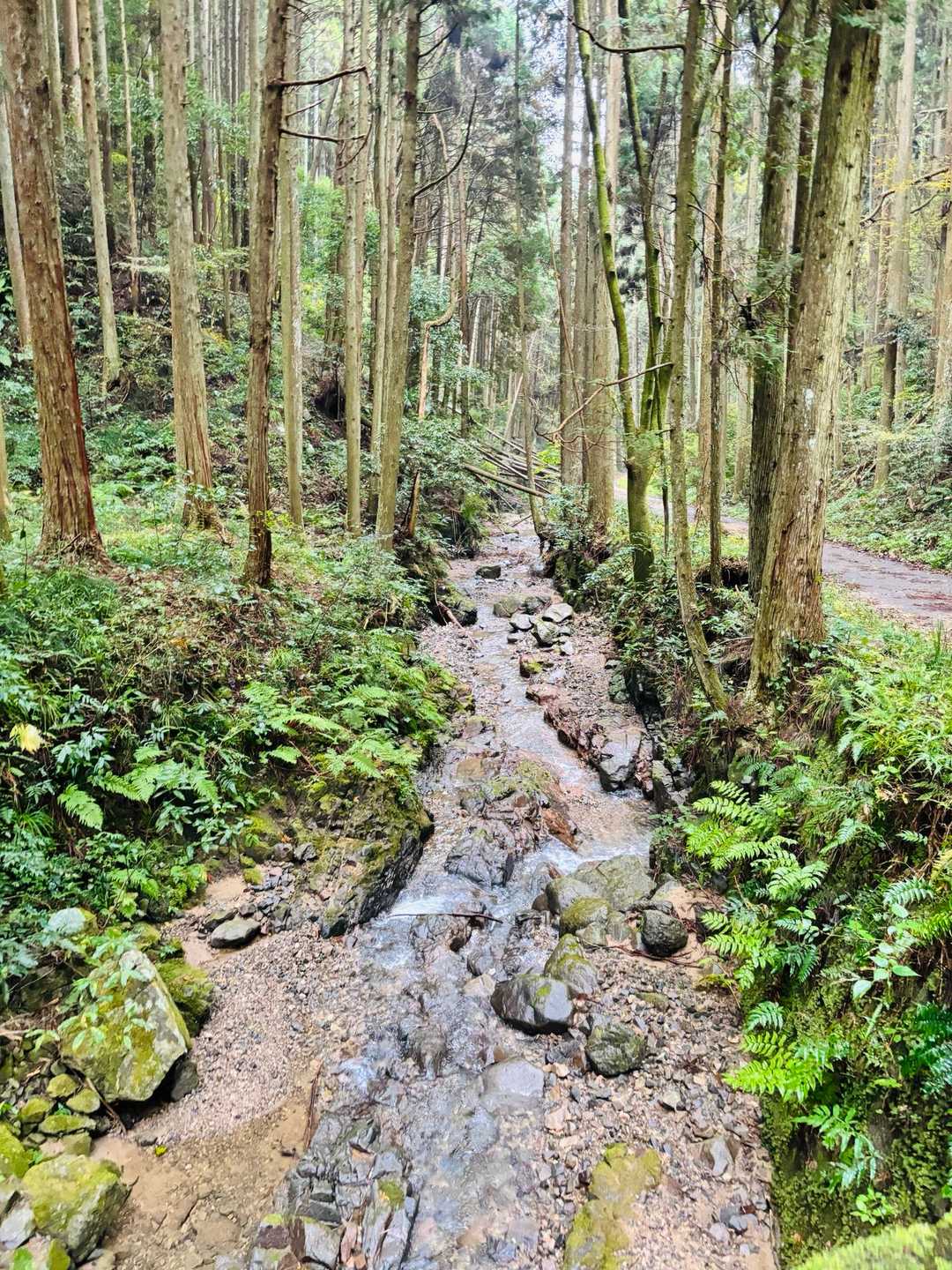 12. 南葛城山の写真