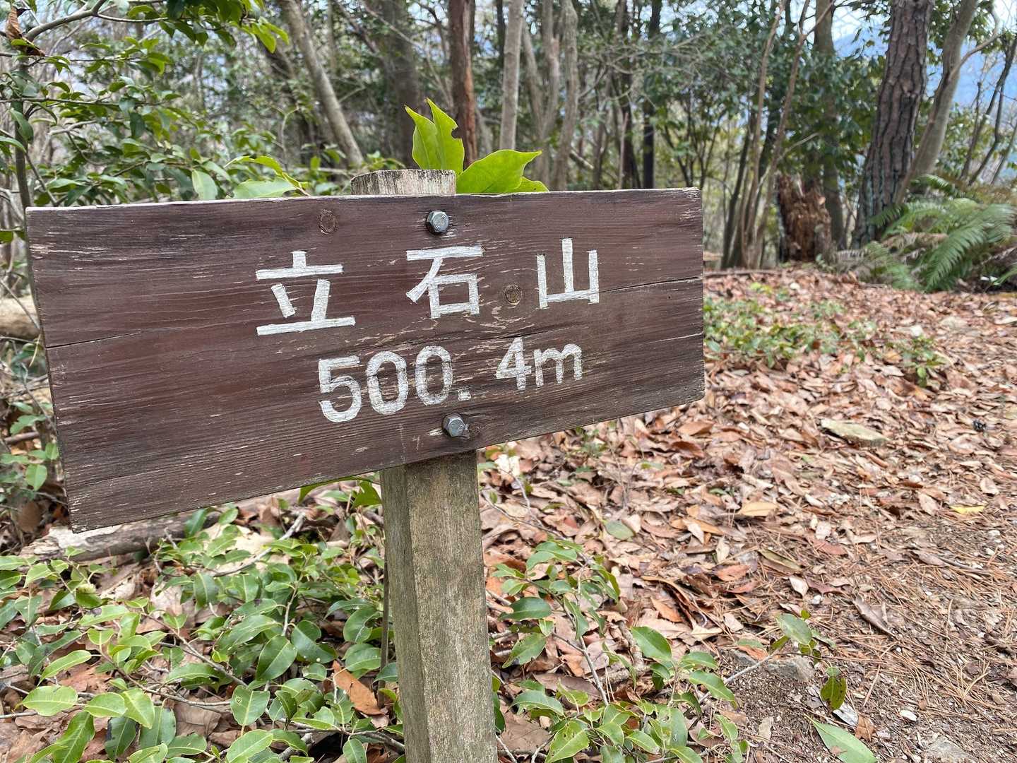 着いた！