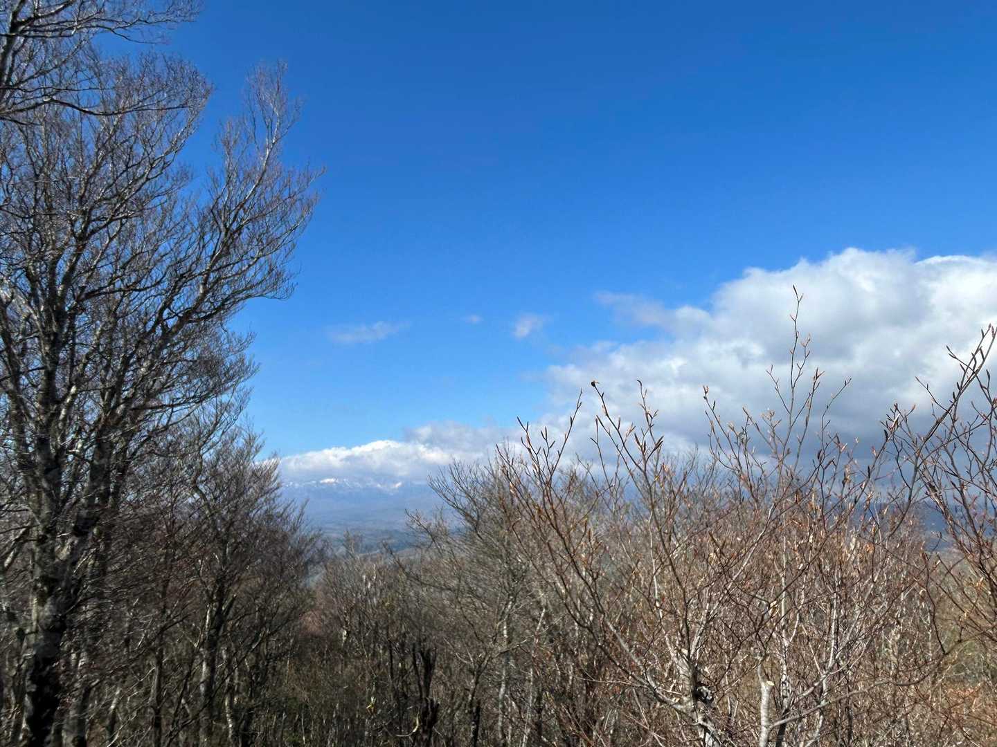 権太倉山風穴登山口-権太倉山-隈戸川源流登山口 縦走コースの写真