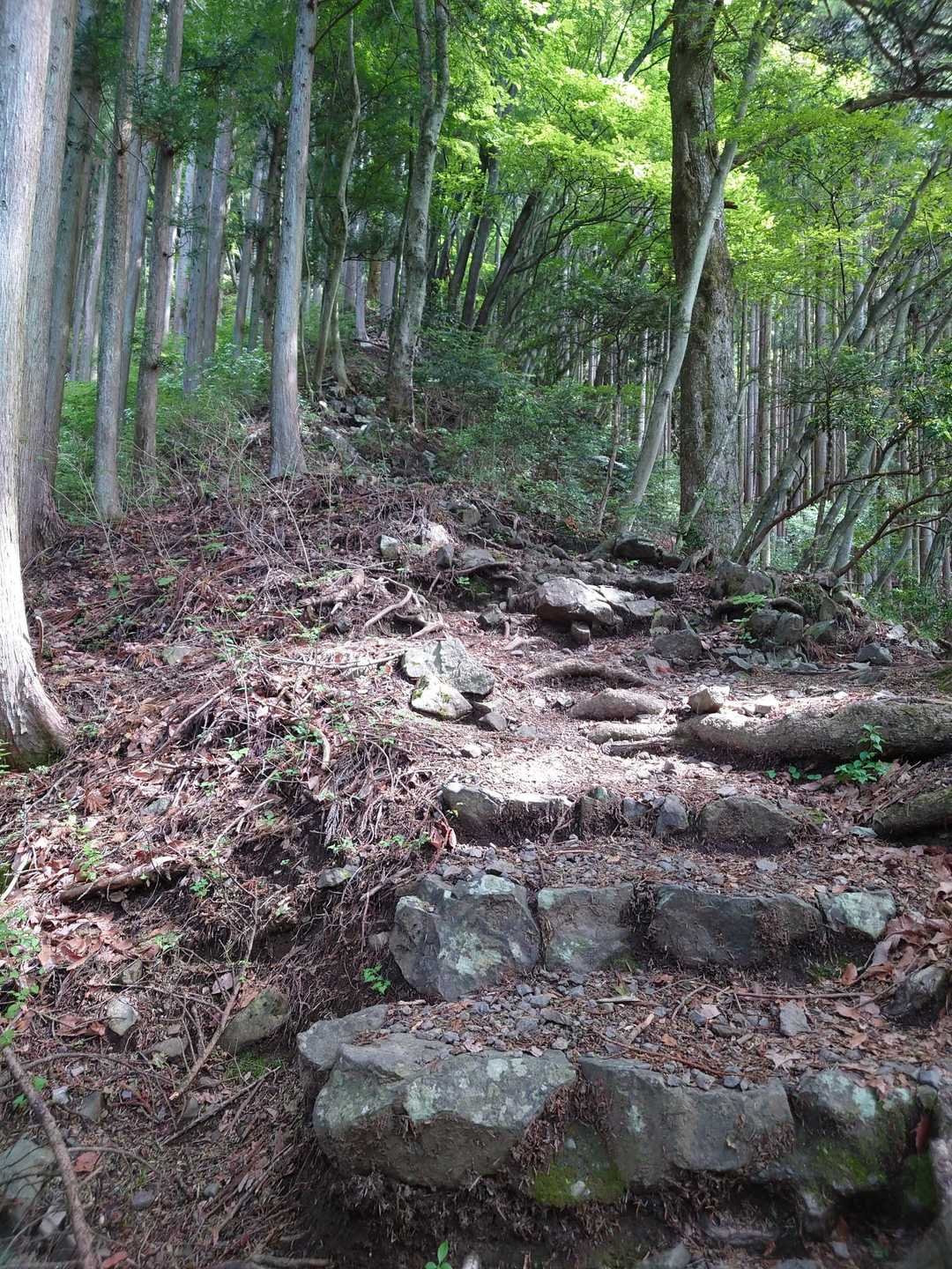 ひたすら登り