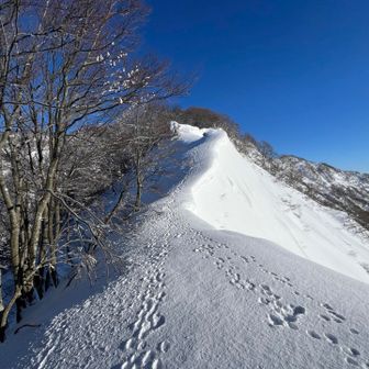 OH〜行けそうではないか！
時期が早いのか雪が少なく鎖場の雪庇が迫り出していない！
右側に寄り過ぎなければ行けそうだ、では行こうではないか！