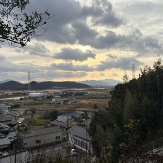 変形股関節症や帯状疱疹になったり…