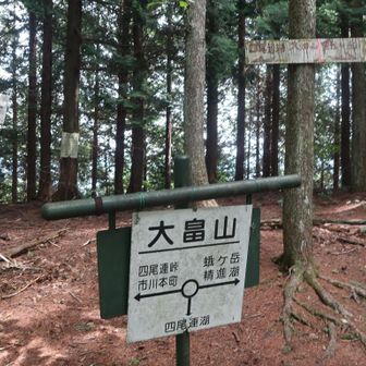 大畠山から再び蛾ヶ岳を目指します