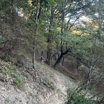 下山は巻道オンリーで降ります