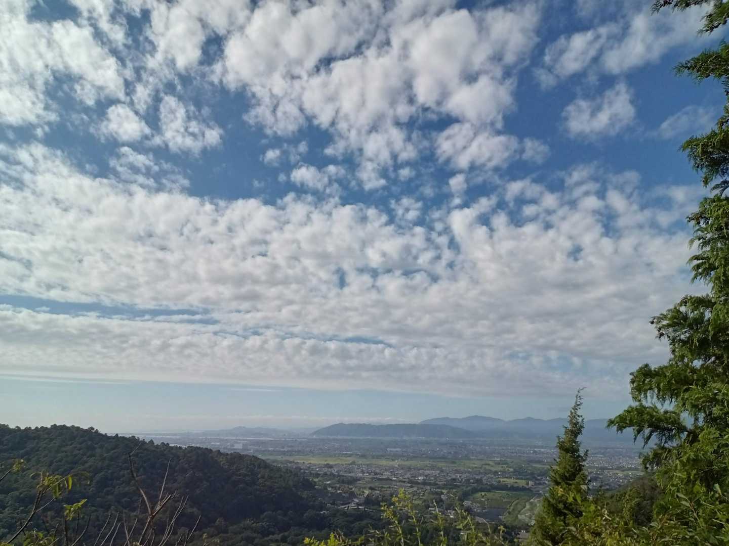 大麻山 往復コースの写真
