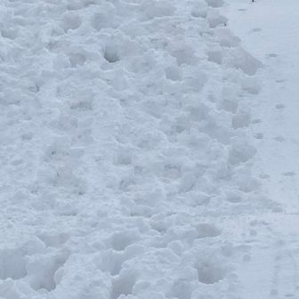 踏み荒らしたボコボコ😅😅😅