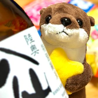 カワウソ（Lv.★⭐︎⭐︎）