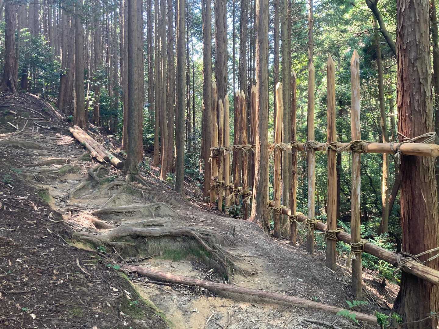 kobotさんのレポでも見させて頂きましたが、信貴山城跡の整備をすすめるのでしょうか。