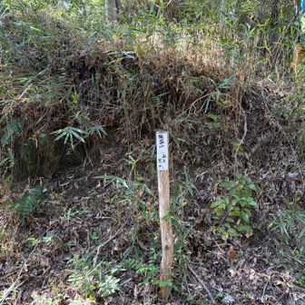 登山口はここ