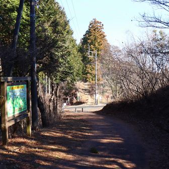 峠に出ました。