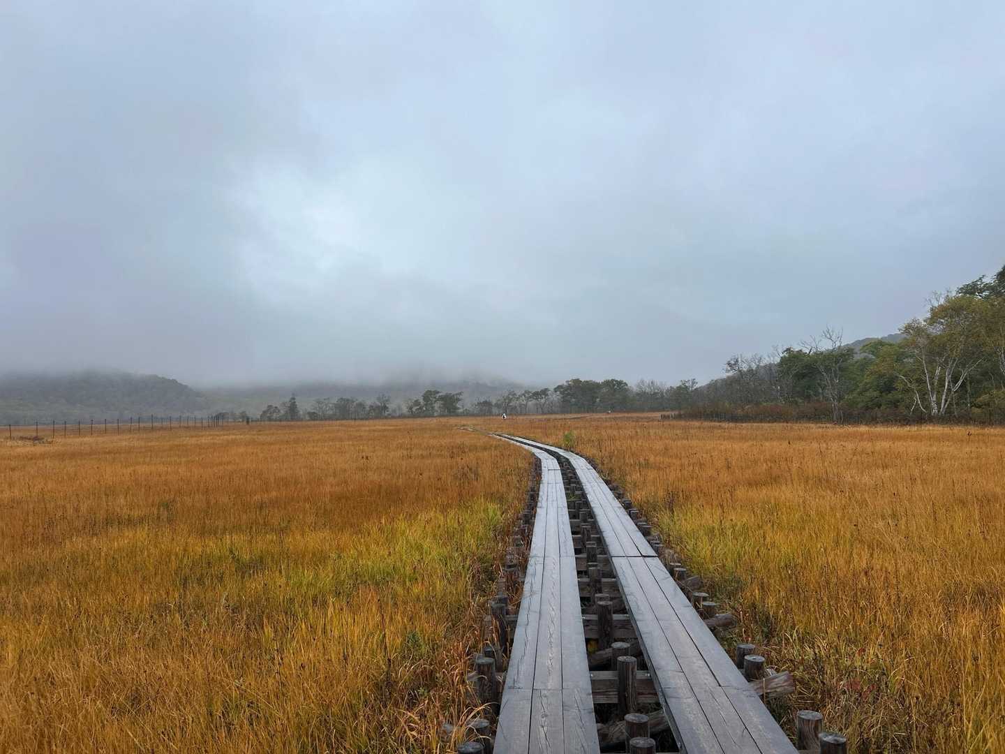 鳩待峠-尾瀬ヶ原 周回コースの写真