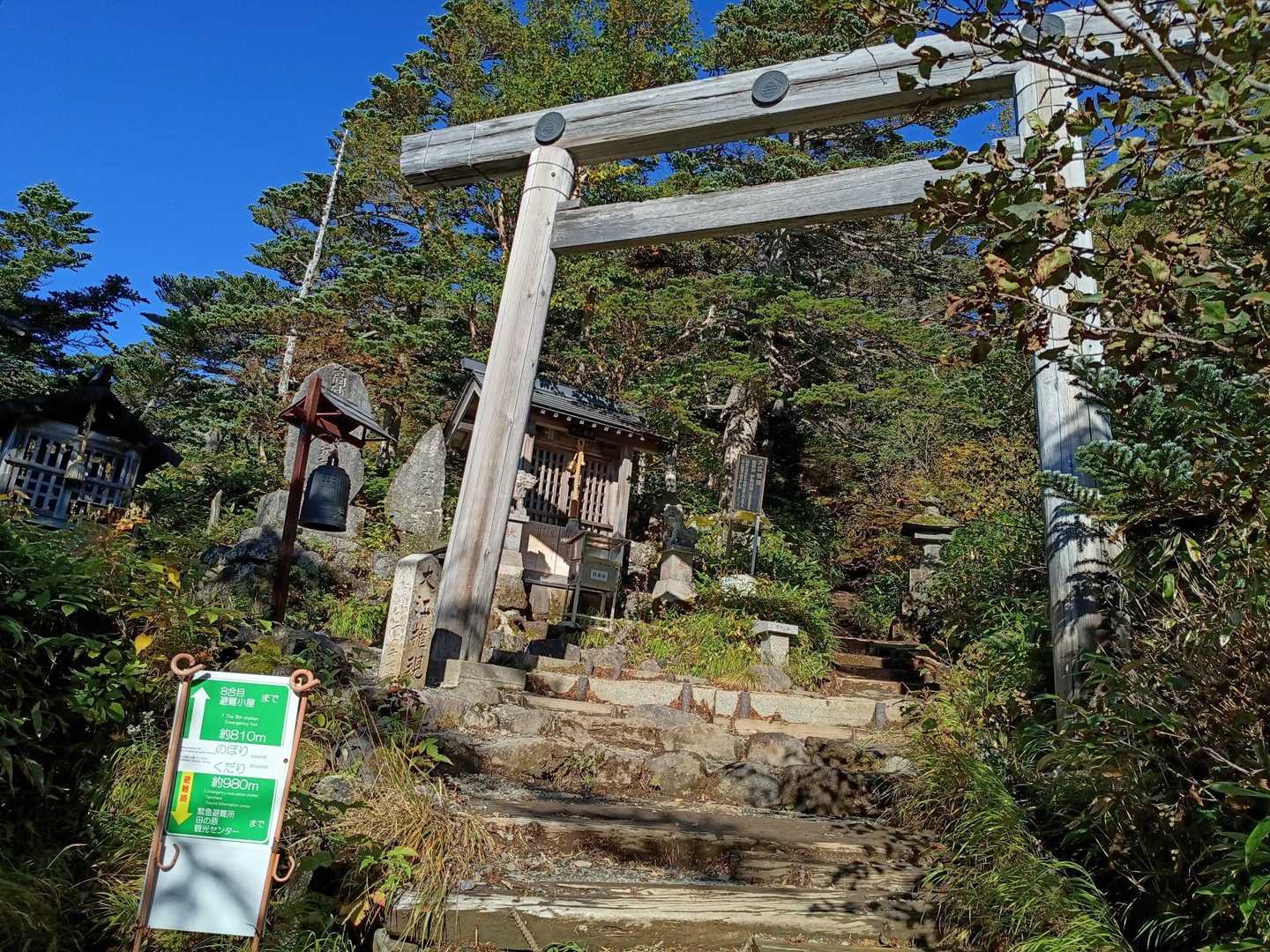 王滝口 | 花とハイマツが美しい田の原天然公園から、雄大な裾野を広げる霊峰への写真