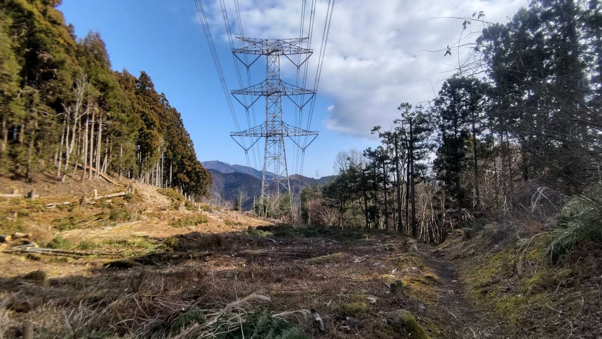 うむ！すっかり晴れましたよ☀
日頃のおこないの成果ですな( ｰ`дｰ´)