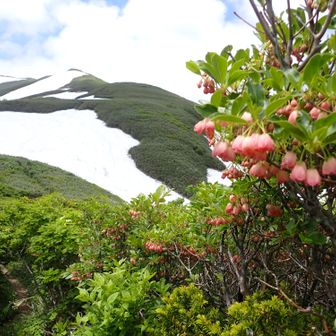 北地神山とサラサドウダン