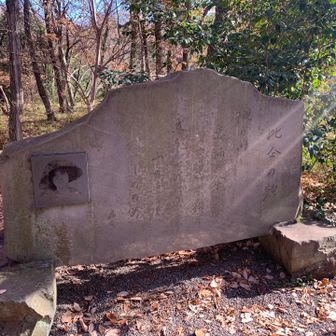 「比企の溪」
槻の川　赤柄の傘さす松の
　立ち並びたる山のしののめ（与謝野晶子）