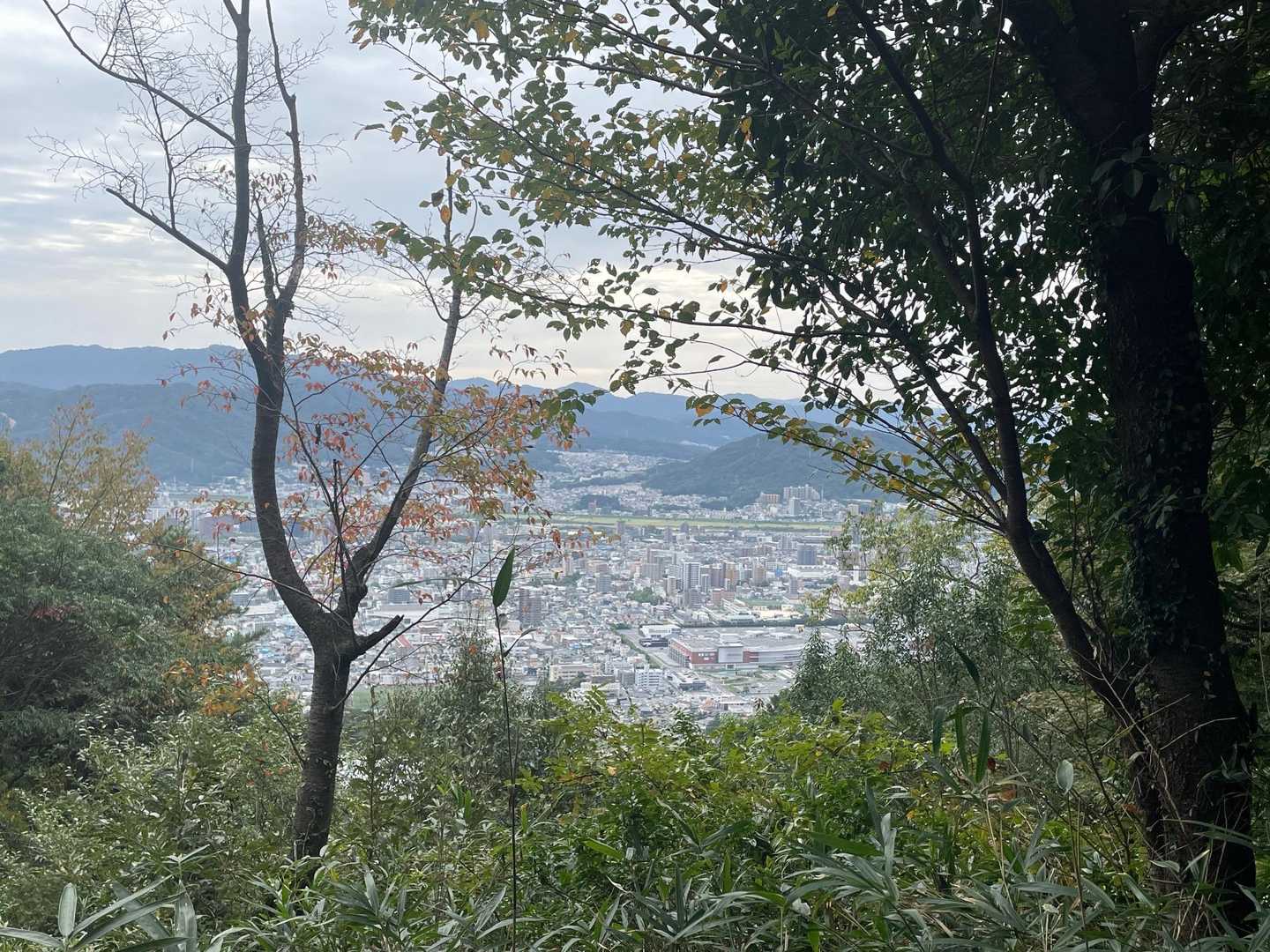 武田山-黒谷山-水越峠-火山 往復コースの写真
