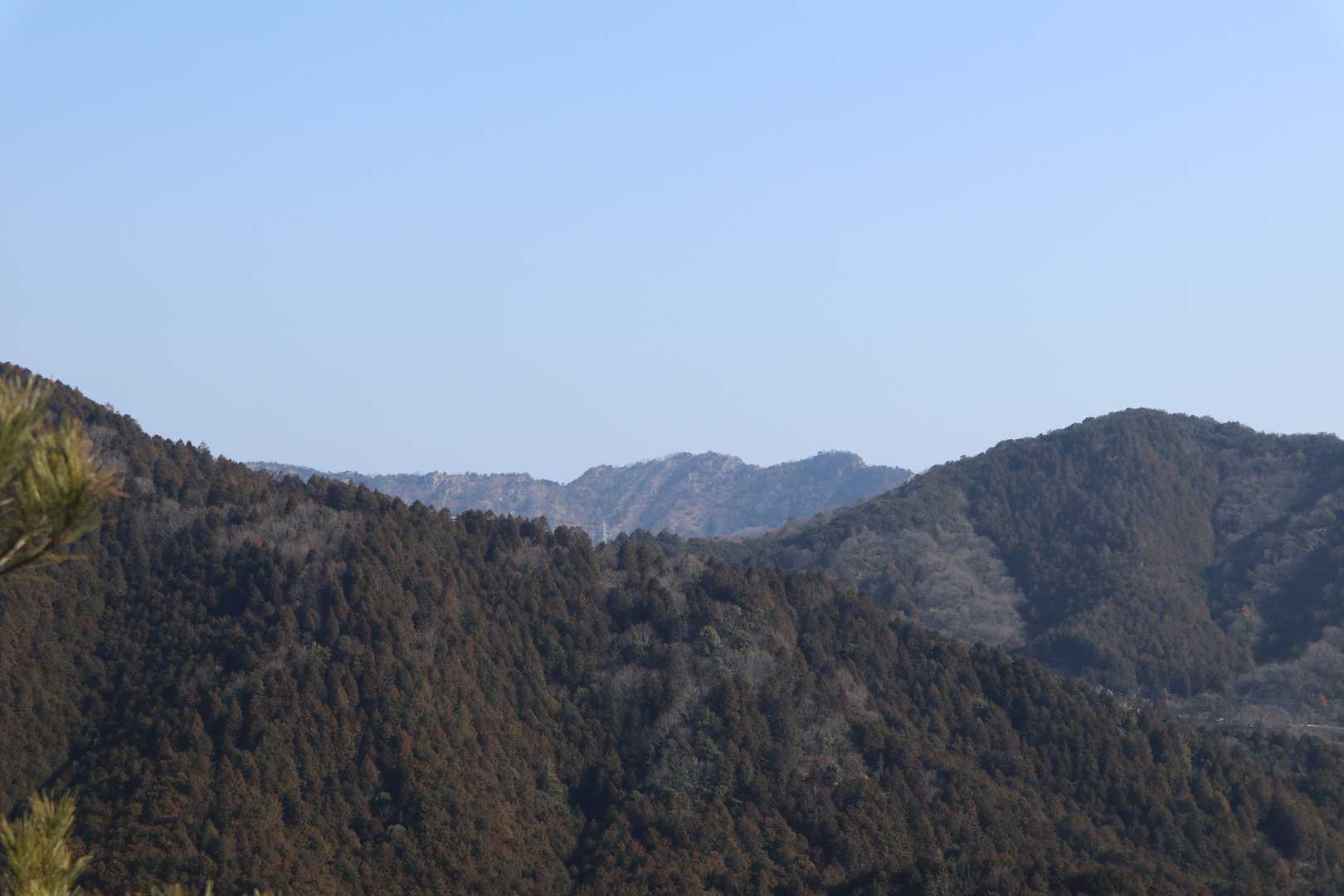 世田山が見えてきました
