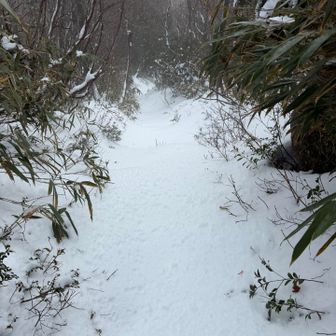 ここからさらに地獄でした💦
