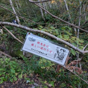 餓鬼岳は厳しい道のりぞ！一体どんなんや？と思いながら登りました。🤔
